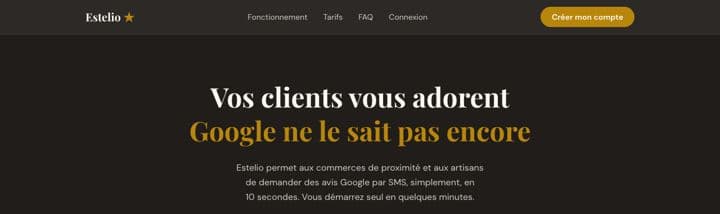 Page d'accueil d'Estelio, outil de collecte d'avis Google
